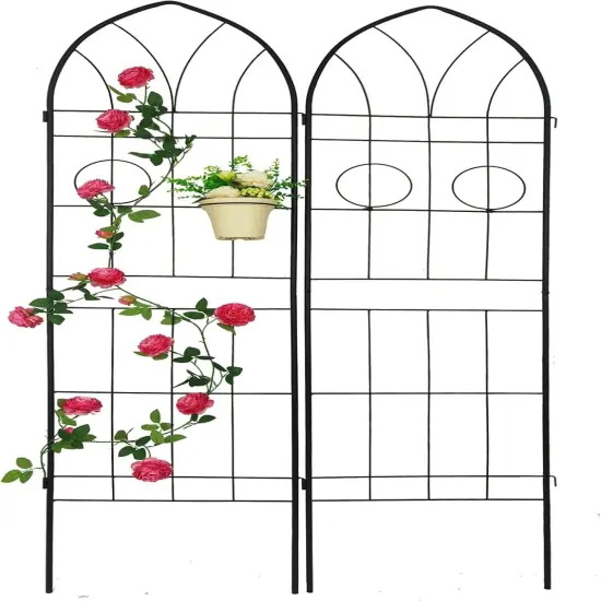2-Pack Rustproof Metal Garden Trellis Plant Support {1}