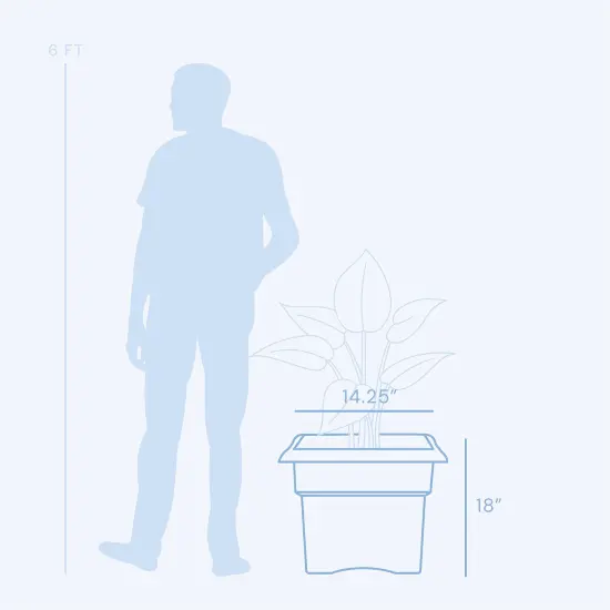 Bloem Veranda Square Deck Box Planter: 18" - Charcoal - Matte Finish, Weatherproof Plastic, Optional Drainage Holes, For Indoor and Outdoor Use, Gardening, 9 gallon capacity {6}