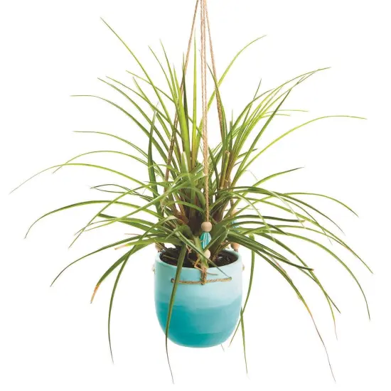 Color-Me&trade; Ceramic Bisque Planter (Pack of 12) {4}