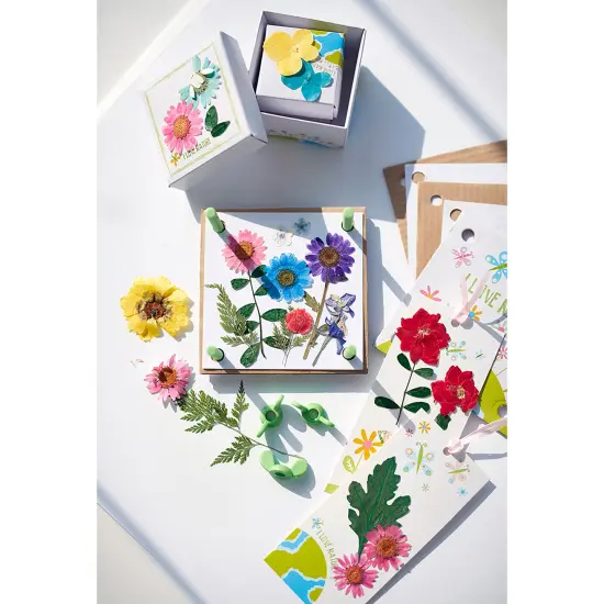 4M: Green Creativity: Pressed Flower Art - Preserve Plants & Leaves, DIY Trinket Boxes-Greeting Cards-Bookmarks, Nature Arts & Craft Kit, Kids Age 5+ {6}