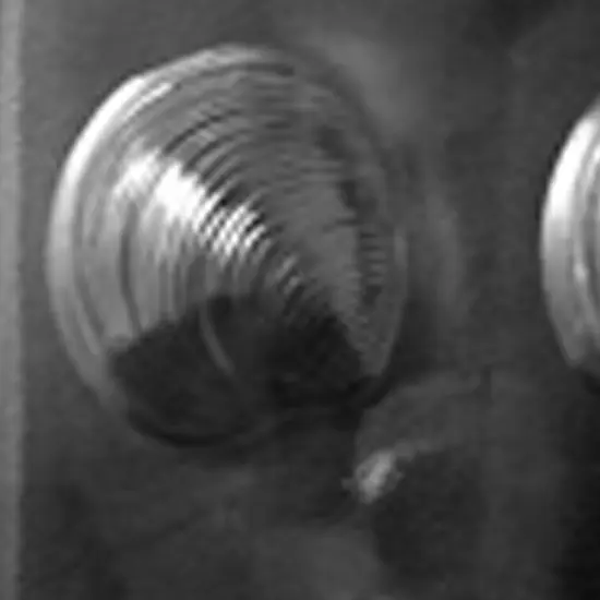 Large Shells Chocolate Mold for Elegant or Beach Party Treats {4}