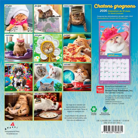 Avanti Chatons Grognons OFFICIEL | 2026 7 x 14 Inch (Hanging) Monthly Mini Wall Calendar | French Language | BrownTrout | Angry Cat Humor {2}