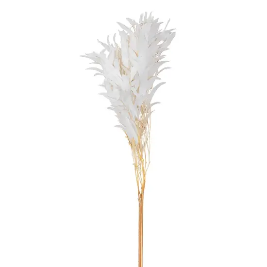 Eucalyptus Exotica Flower {1}