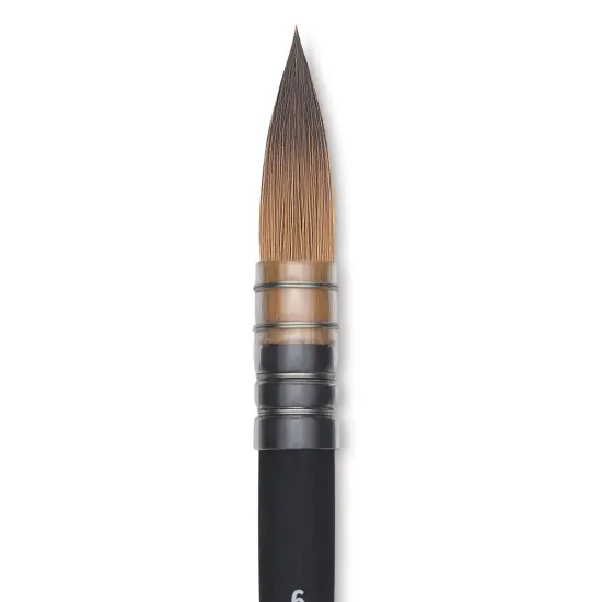 Princeton Aqua Elite Series 4850 Synthetic Brush - Quill, Size 6, Short Handle {1}