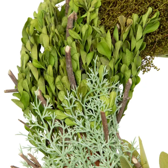 Northlight Cedar, Succulent and Day Grass Artificial Spring Wreath, Green -14-Inch {6}
