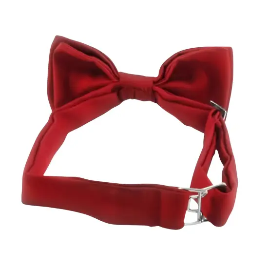 Doctor Who 11th Doctor Bow Tie Costume Accessory {4}