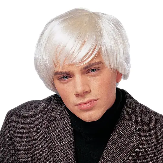 Artist Men's Costume Wig - Platinum {1}