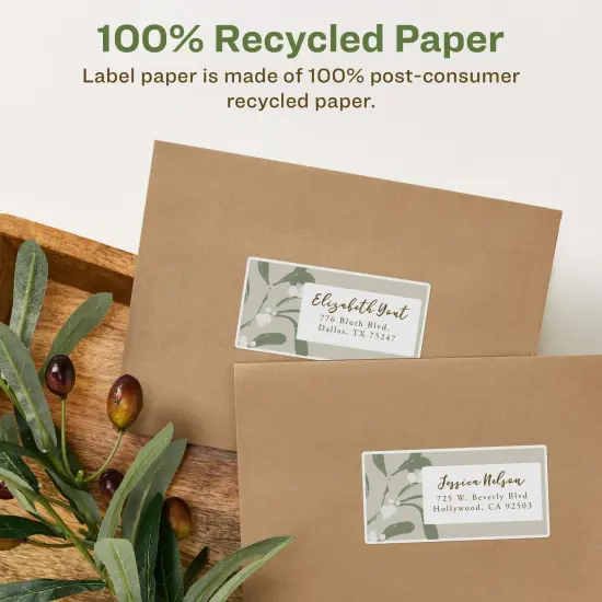 Avery EcoFriendly Shipping Labels, 2 x 4 Inches, Pack of 250 {4}