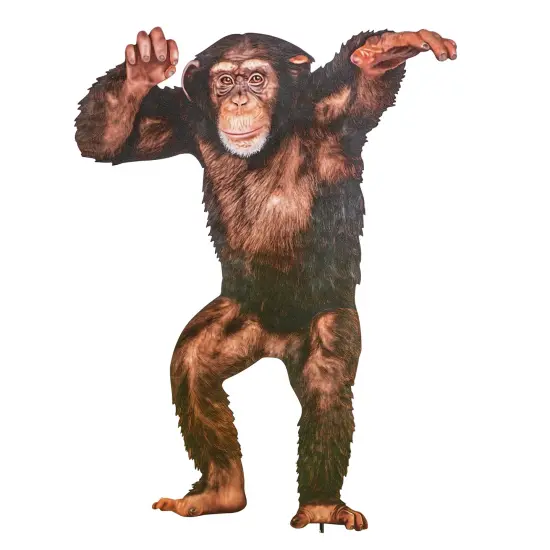 Collections Etc Realistic Standing Chimp Outdoor Decorative Garden Stake {2}