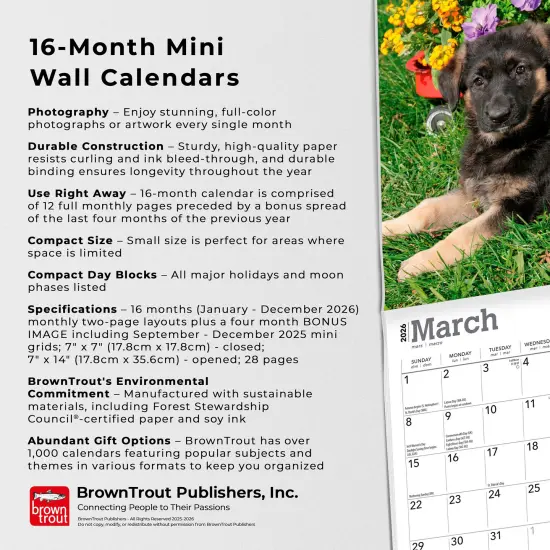 German Shepherd Puppies | 2026 7 x 14 Inch (Hanging) Monthly Mini Wall Calendar {6}