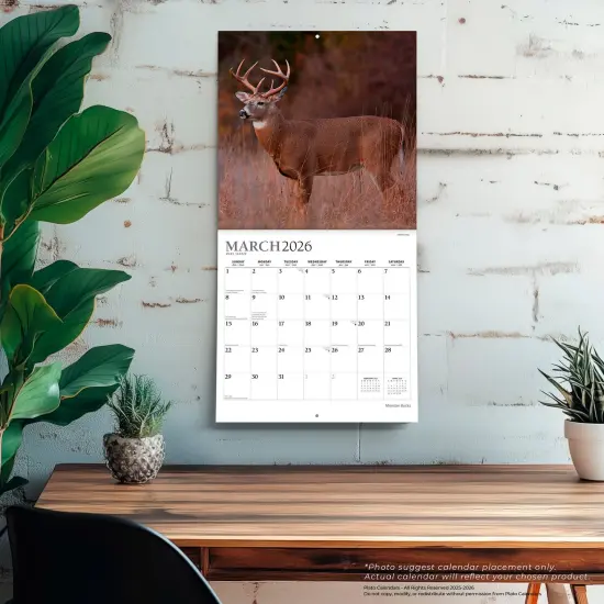 Monster Bucks | 2026 12 x 24 Inch (Hanging) Monthly Square Wall Calendar | Foil Stamped Cover {5}