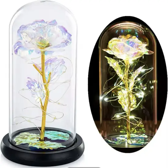 Light Up Rose in A Glass Birthday Gift for Woman Mothers Day Flowers Gift for Mom Rose Flower Gift for Her Anniversary Gift Preserved Flowers {6}