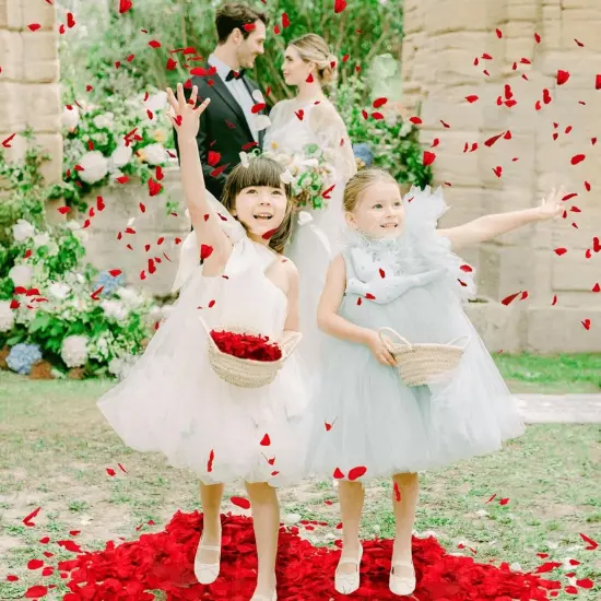 1500+ Real Dried Red Hydrangea Flower Petals - 1.06 oz Natural Preserved Petals for Wedding {4}