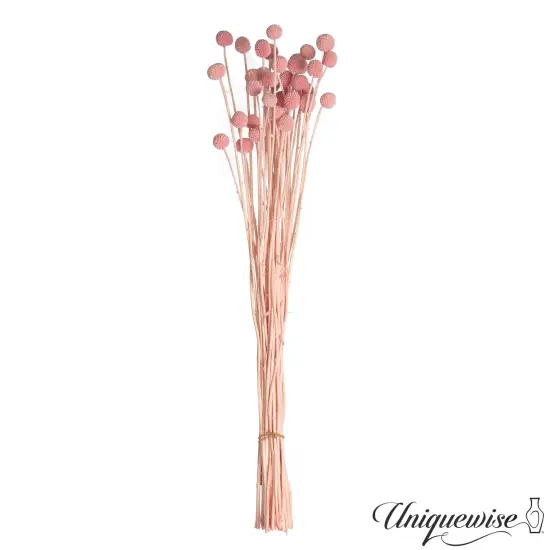 Uniquewise Preserved Real Floral Stems Chic Vase Fillers & Accents for Bouquets Centerpieces & Ornamental Displays Ideal for Home Office Boutique Cafe Resto Bar and Event Decor Pink billy buttons {2}