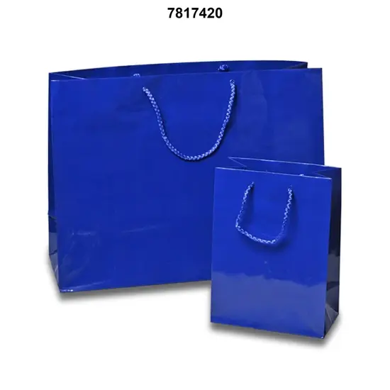 Compact and Vibrant Glossy Euro Totes 5 1/2'' x 2 1/2'' x 5'' Classic Blue {3}