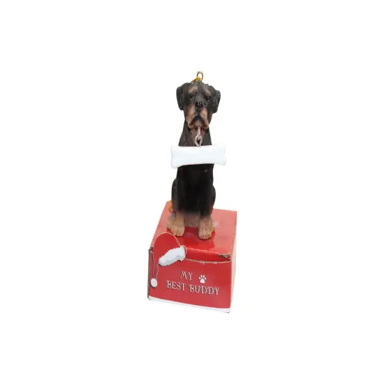Rottweiler with Bone Ornament {1}