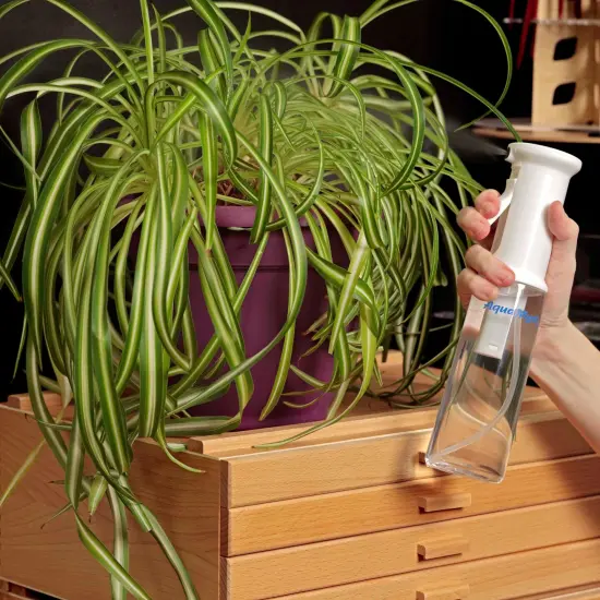 Creative Mark AquaMyst 300 ml Continuous Mist Spray Bottle - 2-Pack - Ergonomic Plant Mister - Water Mister Spray Bottle w/ Pre-Compression Technology, Drip-Free 0.3 mm Nozzle, Clear 10.14 oz Bottles {5}