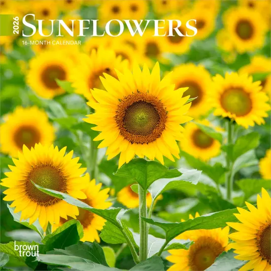 Sunflowers | 2026 7 x 14 Inch (Hanging) Monthly Mini Wall Calendar {1}