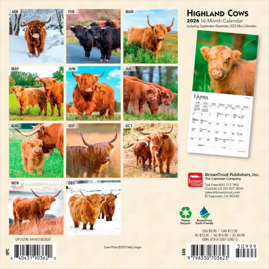 Highland Cows | 2026 7 x 14 Inch (Hanging) Monthly Mini Wall Calendar {2}