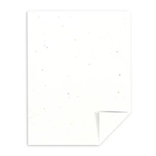 Astrobrights 8 1/2" x 11" 65# Cover Sheets Ream of 250 Stardust {1}