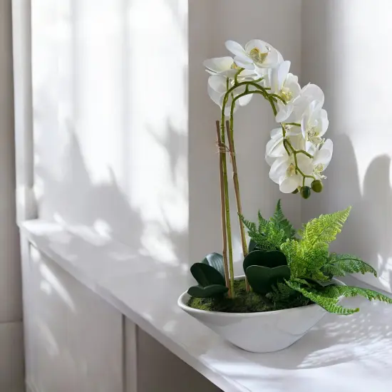 20" Artificial Phalaenopsis Orchid Arrangement | Faux White Orchid in Ceramic Bowl {3}
