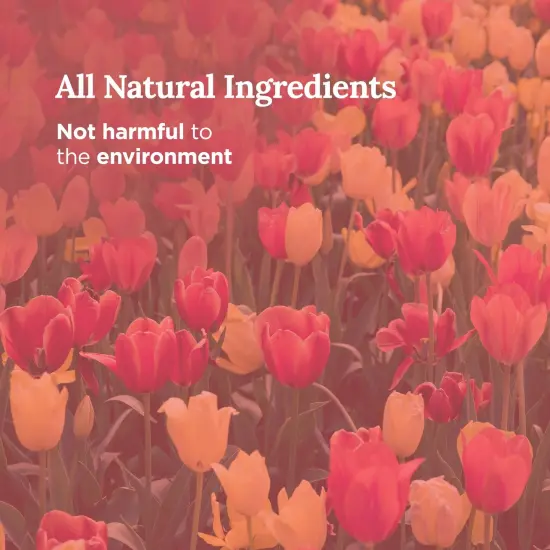 Magnificent 101 Long Lasting Flower Tin Candles with Tulip Scented | 6 Oz - 35 Hour Burn | Made of Natural Soy Wax for Manifestation, Purification, Chakra Healing & House Energy Cleansing Multicolor {3}