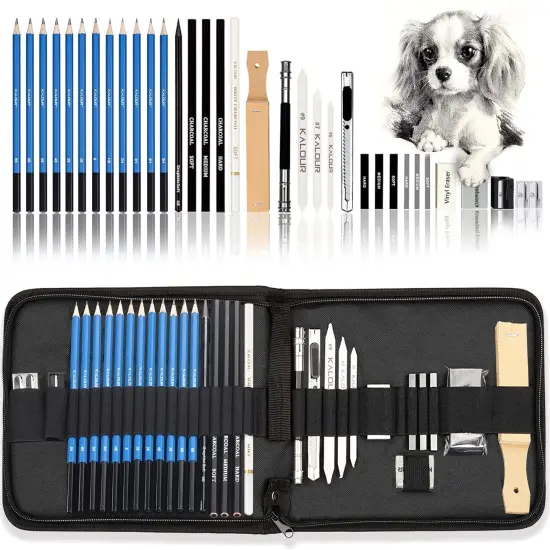 33 Pieces Pro Drawing Kit Sketching Pencils Set,Portable Zippered Travel Case-Charcoal Pencils, Sketch Pencils, Graphite, Charcoal Stick,Sharpener,Eraser.Art Supplies for Artists Beginner Adults Teens {1}