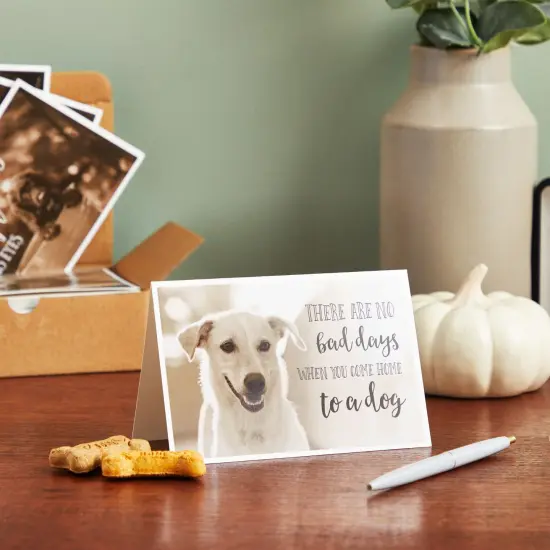 36 Pack Blank Motivational Greeting Cards with Dogs and Inspirational Quotes, Envelopes (4x6 In) Black {3}