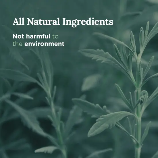 Long Lasting Pure Sage Scented Candle - 6 oz - 35 Hour Burn - Natural Soy Wax Smudge for House Energy Cleansing, Positive Vibes & Manifestation Multicolor {3}