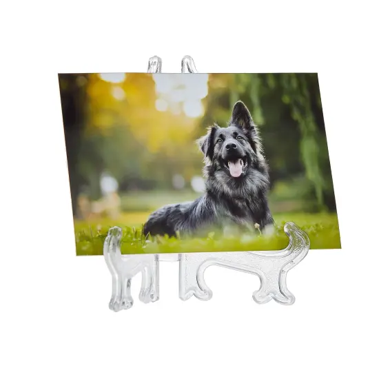 24 Pack 3-inch Mini Easel Display Stand for Sports Trading and Baseball Cards - Small Acrylic Holder for Pictures Clear {6}