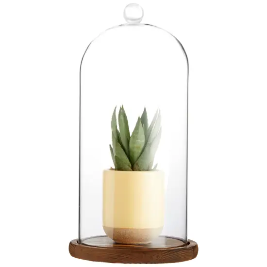 Glass Cloche Dome Bell Jar Display Case with Wooden Base for Plants, Collectibles (5.1x10 In) Clear {7}