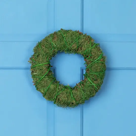 Northlight Green Moss and Twig Artificial Spring Wreath, 12-Inch {1}