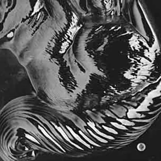 3D Jumbo Squirrel Chocolate Mold {5}