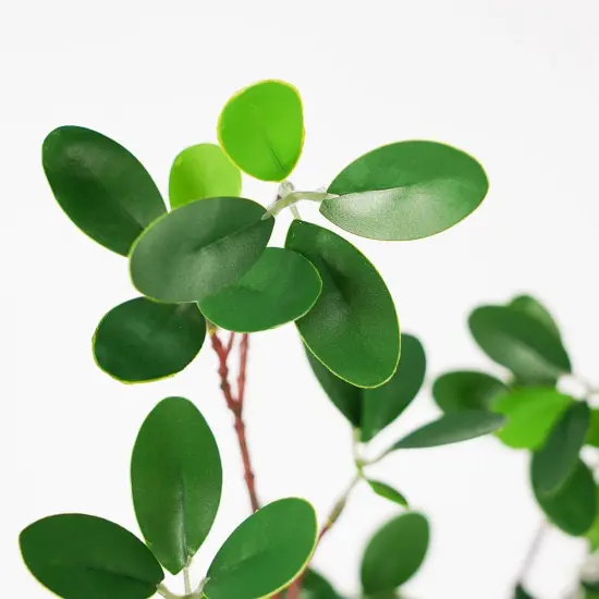 Faux Greenery Eucalyptus Stems {3}