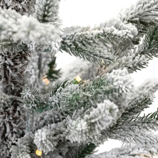 Northlight Real Touch&trade; Pre-Lit B/O Tamarack Pine Artificial Christmas Tree with Burlap - 2' Warm White LED Green {7}