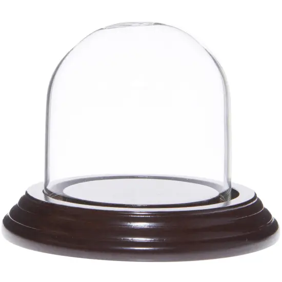 Plymor 2.5" x 2.5" Small Glass Display Dome Cloche Walnut Veneer {2}