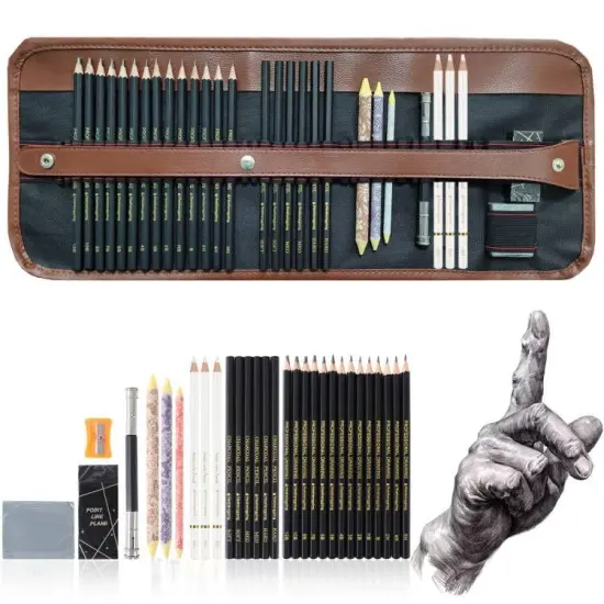 31 Drawing Sketching Pencils Kit, Portable Artist Supples Travel Case Set has Graphite, Charcoal, white color pencil, Blending Stump, gift for Adults Beginners for Drawing Sketch {1}