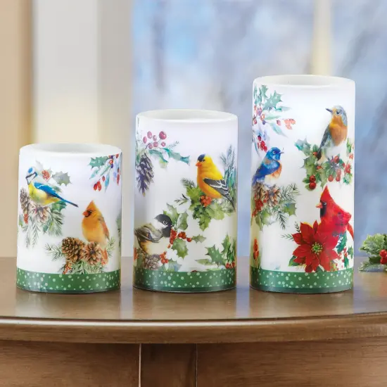Collections Etc LED Lighted Realistic Winter Birds 3-Piece Candle Set {1}