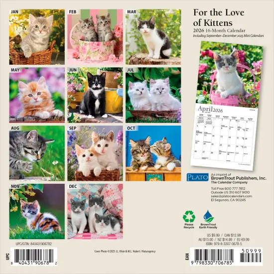 For the Love of Kittens | 2026 7 x 14 Inch (Hanging) Monthly Mini Wall Calendar | Foil Stamped Cover {2}