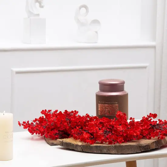 10 Pcs Babys Breath Artificial Flowers Bulk Real Touch Flowers Fake Flowers Silk Flowers for Home Decor Indoor Floral Arrangement Table Centerpieces Festival Party Decor (Red) {5}