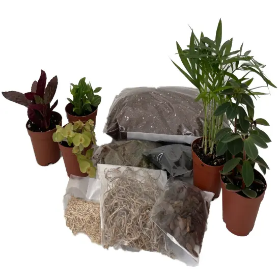 Hirt's Terrarium Kit with 5 Terrarium Plants in 2" Pots {1}