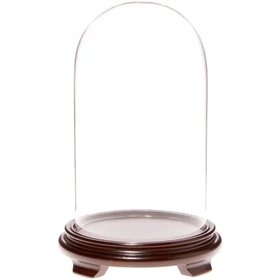 Plymor 5.5" x 10" Glass Display Dome Cloche Walnut Wood Veneer {1}