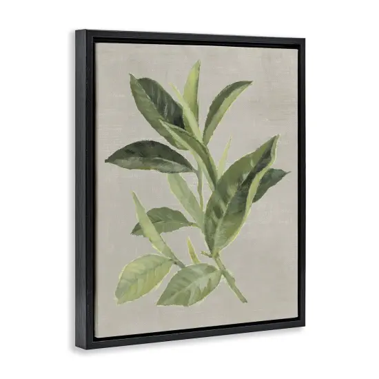 Stupell Industries Green Tea Plant Leaf Floating Frame Design by Lanie Loreth {3}