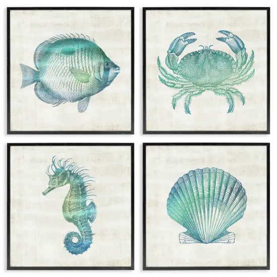 Stupell Industries Aquatic Sea Life Impressions 4pc Framed Giclee Set Design by Susan Arnot {1}