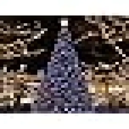 Indoor Outdoor Xmas Tree Wedding Party {3}