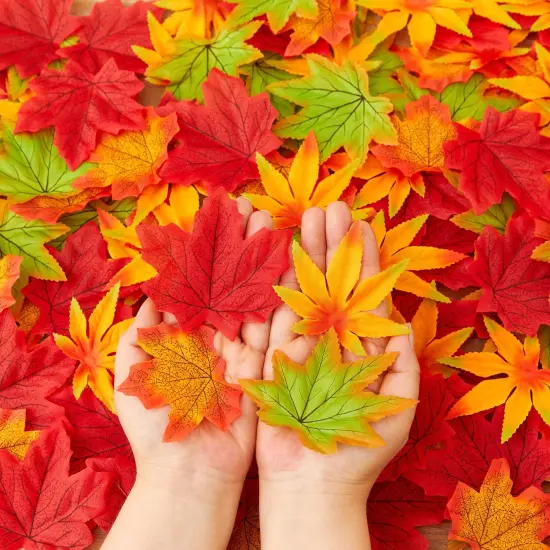 Fake Autumn Leaves {1}