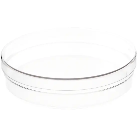 Pioneer Plastics 173C Clear Round Plastic Container with Frosted Bottom, 6" W x 1.375" H {1}