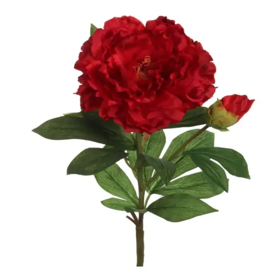 2pc Red 30" Peony Stem {1}