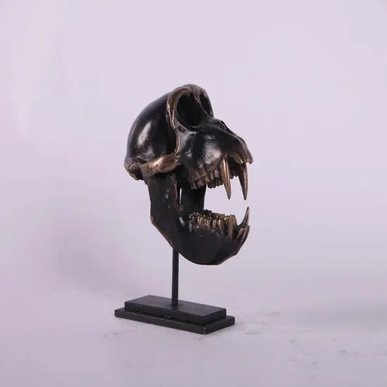 Monkey Macaque Skull Life Size Statue {5}