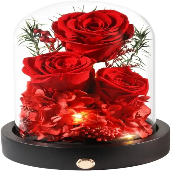 Preserved Rose in Glass Dome with LED Gifts for Her {1}
